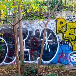 Paysage